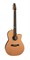 Seagull 041558 Artist Mosaic CW Folk Element DLX TRIC Акустическая гитара, с футляром 041558