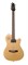 Godin 030293 A6 Ultra Natural SG Электрогитара, с чехлом 030293