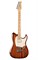 Godin 039678 Passion Custom Whiskey Burst MN Электрогитара, с чехлом 039678