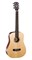 Cort Earth-MiniF-Adirondack-OP Earth Series Электро-акустическая гитара с USB, с чехлом Earth-MiniF-Adirondack-OP