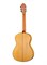 Alhambra 8.896 Green Sustain Flamenco Классическая гитара 8.896