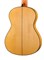 Alhambra 8.896 Green Sustain Flamenco Классическая гитара 8.896