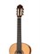 Kremona 90-th Artist Series 90 Anniversary Профессиональная Классическая гитара 90-th