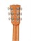 Kremona M-25C Steel String Series Акустическая гитара, кедр M-25C