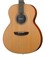 Alhambra 1.272 AA-CSp E9 Электро-акустическая гитара, с ремнем и чехлом 1.272