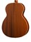 Alhambra 1.272 AA-CSp E9 Электро-акустическая гитара, с ремнем и чехлом 1.272