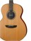 Alhambra 1.272 AA-CSp E9 Электро-акустическая гитара, с ремнем и чехлом 1.272