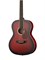 Naranda CAG280RDS Акустическая фолк-гитара CAG280RDS