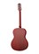 Naranda CAG280RDS Акустическая фолк-гитара CAG280RDS