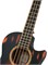 Ortega KT-WALKER-V2 Signature Series Электро-акустическая бас-гитара, с чехлом KT-WALKER-V2