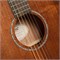 Cort Earth60MCE-OP Earth Series Электро-акустическая гитара, цвет натуральный Earth60MCE-OP