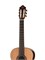 Kremona Fiesta-FC-w/case Cedar Artist Series Классическая гитара, с кейсом Fiesta-FC-w/case