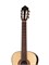 Kremona Fiesta-FS-w/case Spruce Artist Series Классическая гитара, с кейсом Fiesta-FS-w/case