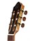 Kremona Fiesta-FS-w/case Spruce Artist Series Классическая гитара, с кейсом Fiesta-FS-w/case