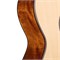 Cort AC200-OP-w/bag Classic Series Классическая гитара, массив ели, с чехлом AC200-OP-w/bag