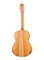 Alhambra 8.890V Classical Conservatory 6 Olivo Классическая гитара 8.890V