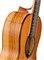 Alhambra 8.890V Classical Conservatory 6 Olivo Классическая гитара 8.890V
