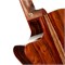 Cort Gold-A10-Cocobolo-WCASE-NAT Gold Series Электро-акустическая гитара, с чехлом Gold-A10-Cocobolo-WCASE-N