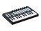 Laudio ORCA-MINI25 MIDI-контроллер, 25 клавиш ORCA-MINI25