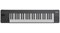 NUX NTK-49 Track Keyboard MIDI-клавиатура, 49 клавиш NTK-49