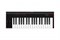 IK Multimedia iRig-Keys-2-Pro MIDI-контроллер, 37 клавиш iRig-Keys-2-Pro