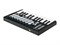 Laudio ORCA-MINI25 MIDI-контроллер, 25 клавиш ORCA-MINI25
