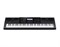 Casio WK7600 Синтезатор 76 клавиш WK7600