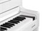 Aurora AU120-WH Цифровое пианино, белое AU120-WH