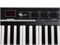 Laudio KS61A MIDI-контроллер, 61 клавиша KS61A