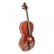 Strunal 4/4C-4/4 Виолончель 4/4, концертная 4/4C-4/4