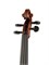 Gliga M-V044-N Master Gliga extra Walnut Скрипка 4/4 M-V044-N