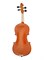 Foix FVP-01A-4/4 Скрипка студенческая 4/4, с футляром и смычком FVP-01A-4/4
