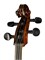 Strunal 4/4we-4/4 Виолончель полупрофессиональная 4/4we-4/4