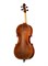 Strunal 4/4we-4/4 Виолончель полупрофессиональная 4/4we-4/4