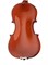 MV-002 Скрипка 3/4 с футляром и смычком, Carayа MV-002