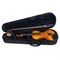 Cascha HH-2050 Скрипка 4/4, с футляром, смычком, запасными струнами, мостиком и канифолью HH-2050