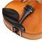 Cascha HH-2050 Скрипка 4/4, с футляром, смычком, запасными струнами, мостиком и канифолью HH-2050