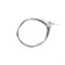 Cascha HH-2050 Скрипка 4/4, с футляром, смычком, запасными струнами, мостиком и канифолью HH-2050