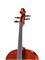 Gliga B-C012-L Beginer Genial 2 Nitro Laminated Виолончель 1/2 B-C012-L