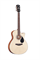 Kepma EAC-NM - Акустическая гитара EAC-NM