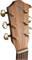 BATON ROUGE TLA/D - Акустическая гитара 151042