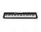 Синтезатор Casio CT-S300 CT-S300