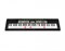 Синтезатор Casio LK-136 LK-136