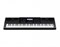 Синтезатор Casio WK-6600, 76 клавиш WK-6600