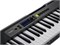 Casio LK-S250 Синтезатор 61 клавиша, черный LK-S250-1