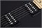 SCHECTER PT M/M BLK - Электрогитара PT M/M BLK