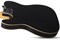 SCHECTER PT M/M BLK - Электрогитара PT M/M BLK