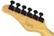 SCHECTER PT M/M BLK - Электрогитара PT M/M BLK