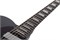 SCHECTER PT EX DORIAN GRAY DG - Электрогитара PT EX DORIAN GRAY DG