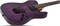 SCHECTER PT STANDARD PURPLE BURST BURL PBB - Электрогитара PT STANDARD PURPLE BURST BURL PBB